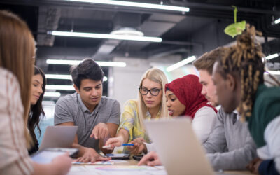 Smaller Companies Board Portal 7 Board Governance Solutions for Smaller Organisations