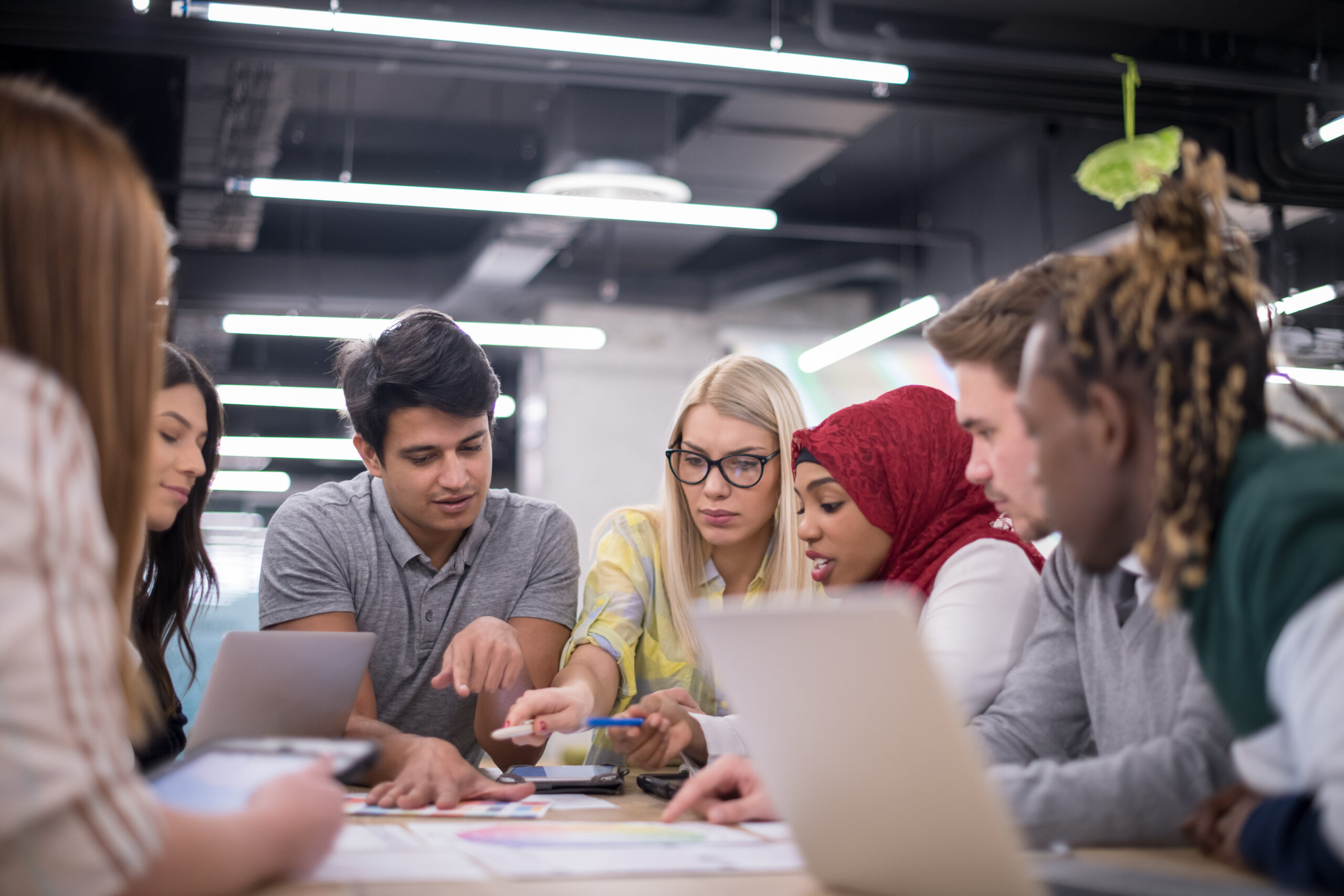 Credit Union Board Portal
