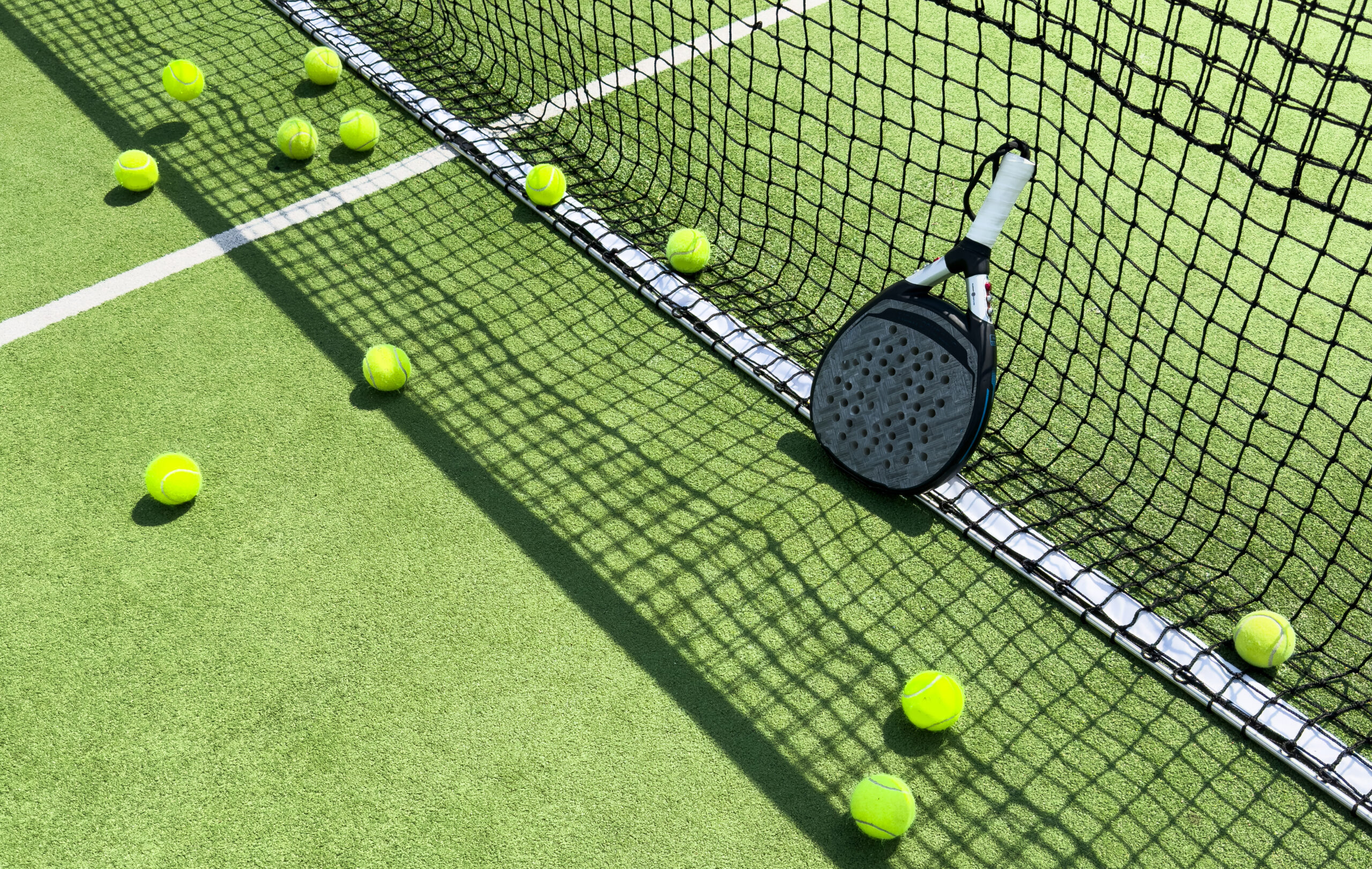 Smaller sports governing body board portal